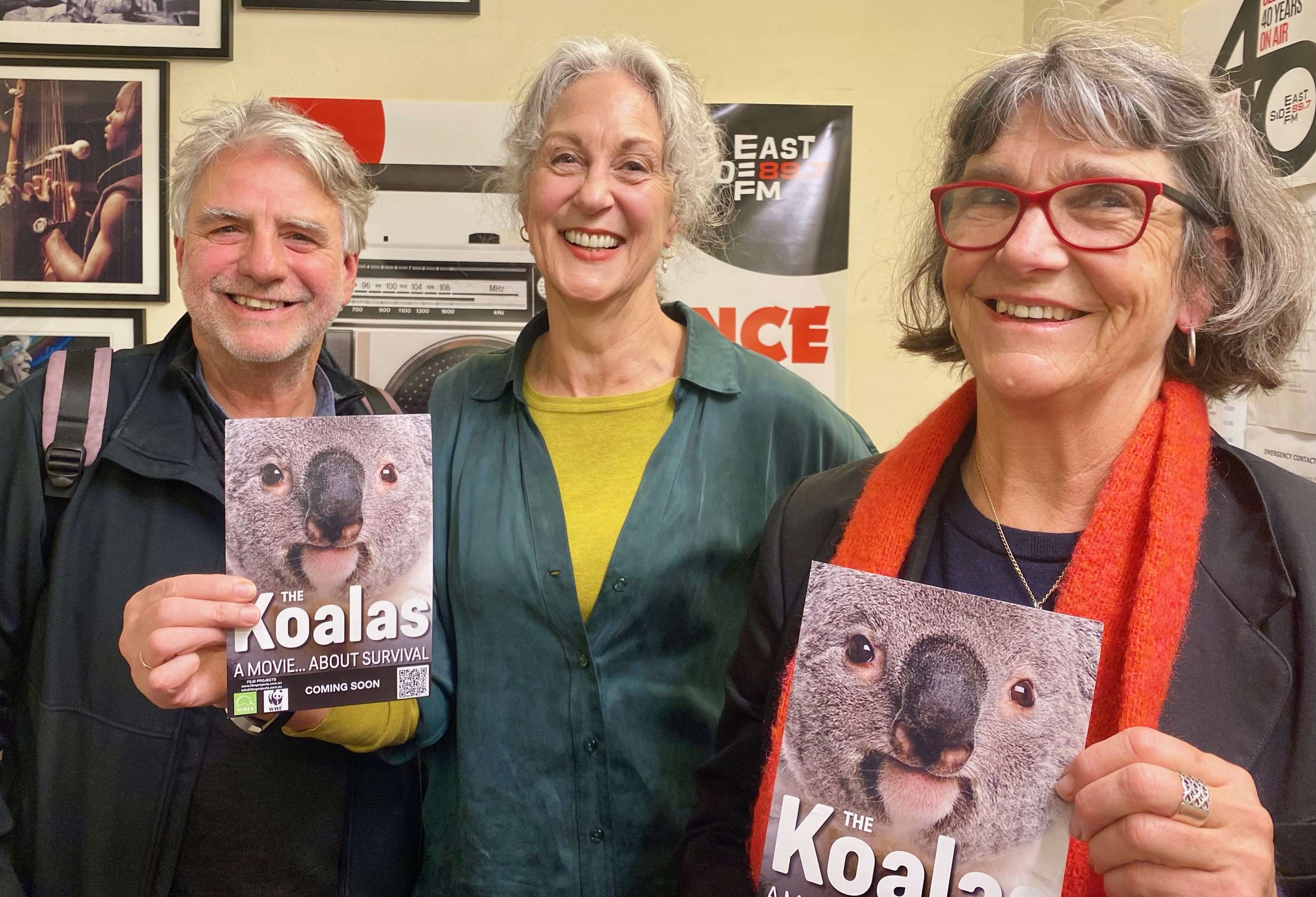 THE KOALAS
